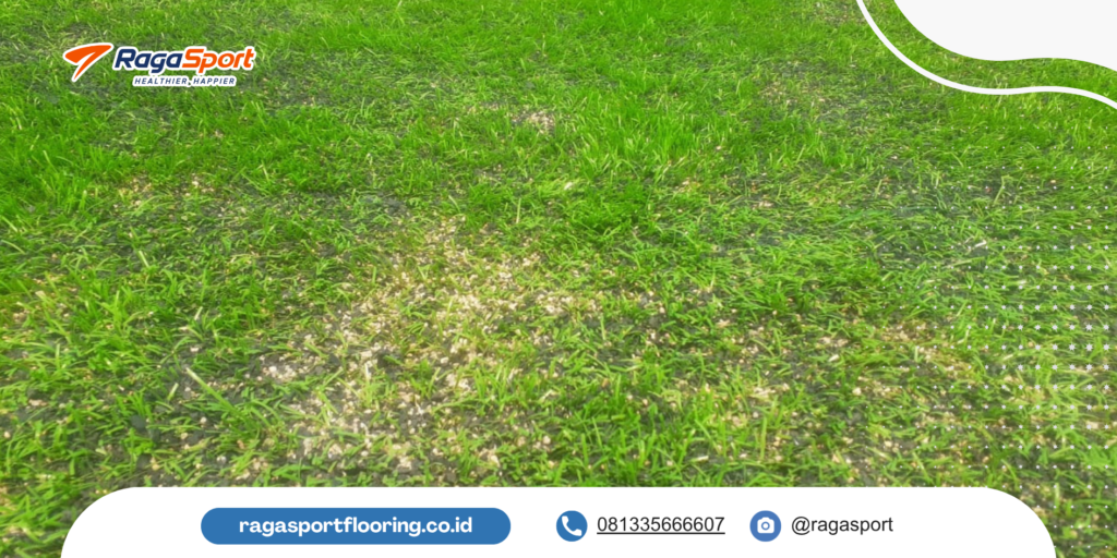 Tanda Rumput Sintetis Lapangan Mini Soccer Sudah Harus Renovasi