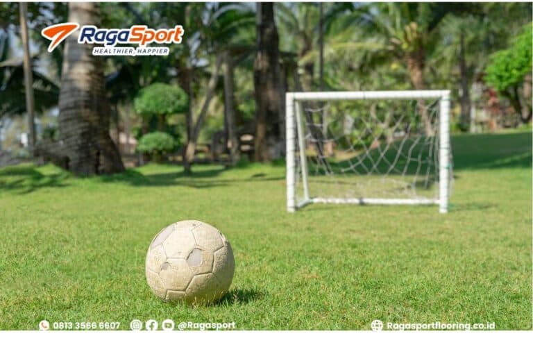 1.Arena Mini Soccer: Dimensi Standar dan Pengaturan Ukuran untuk Arena ...